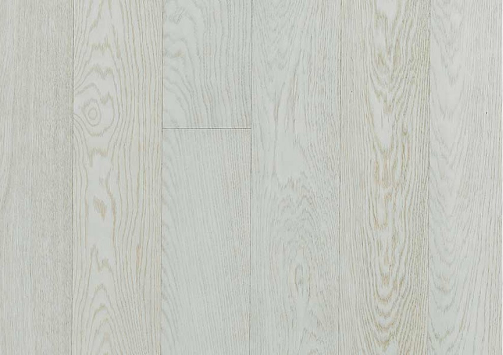 Timberwise - Antarctis