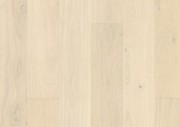 Timberwise - Cream