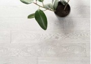 Timberwise - Titan