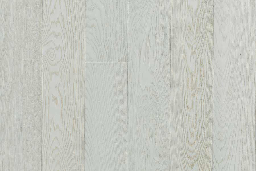 Timberwise - Antarctis