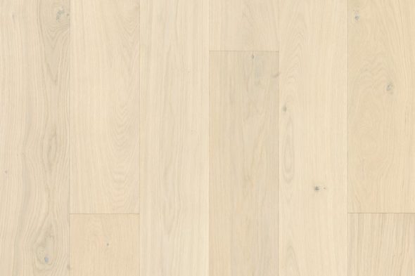 Timberwise - Cream